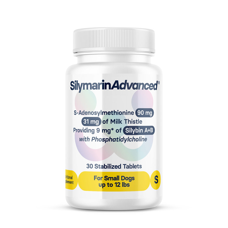 SilymarinAdvanced
for Small Dogs
up to 12 lbs
